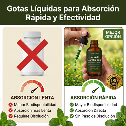 Gotas de Clorofila Pura